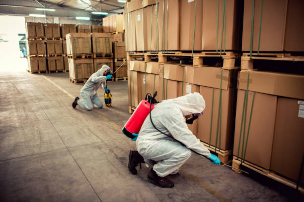 Best Affordable Pest Control Services  in New Baltimore, OH