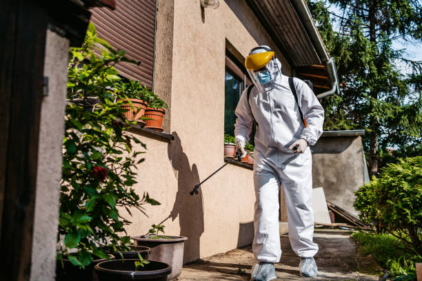 Best Pest Inspection Near Me  in New Baltimore, OH