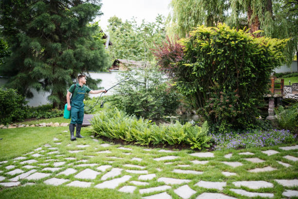 Best Affordable Pest Control Services  in New Baltimore, OH