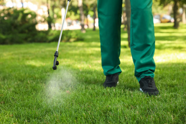  New Baltimore, OH Pest Control Pros
