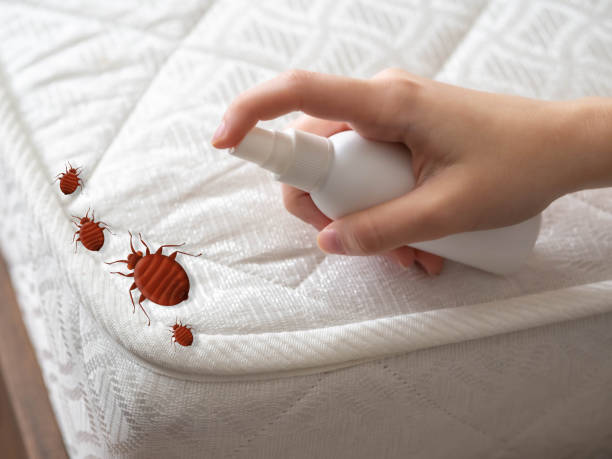 Best Best Pest Control Companies  in New Baltimore, OH