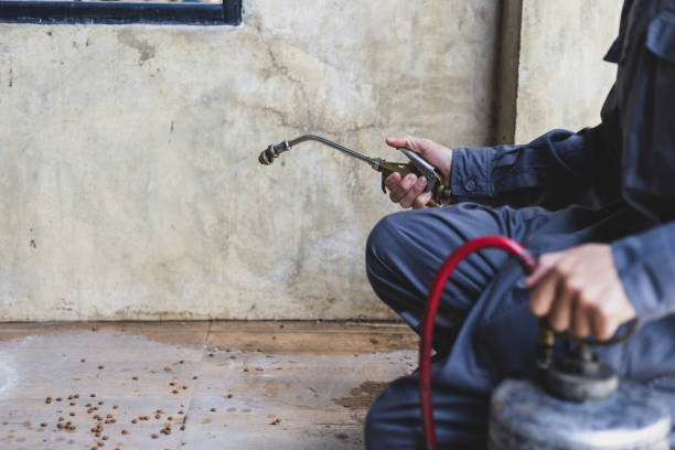 Trusted New Baltimore, OH Pest Control Experts