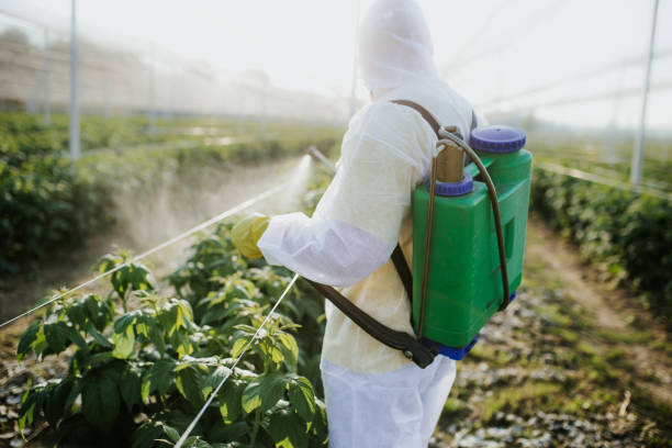 Best Mosquito Control Services  in New Baltimore, OH